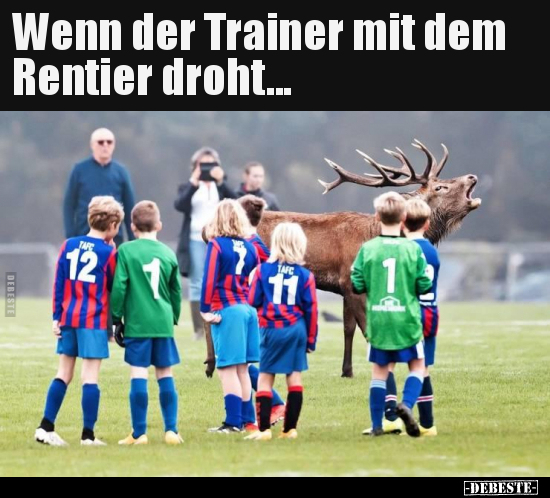 Wenn der Trainer mit dem Rentier droht... - Lustige Bilder | DEBESTE.de