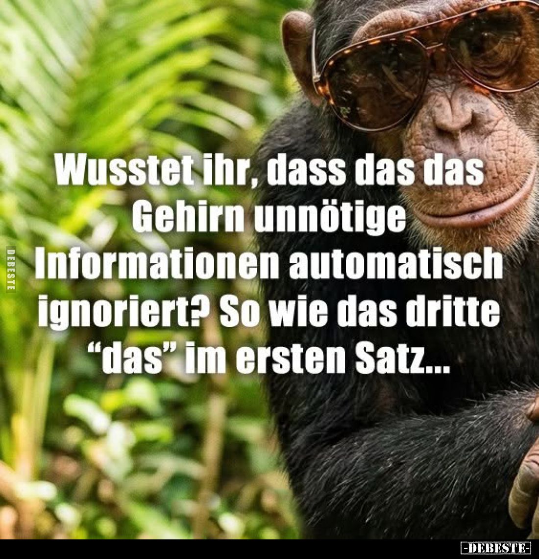 Wusstet ihr, dass das das Gehirn unnötige Informationen automatisch ignoriert? So wie das dritte "das" im ersten Sa...