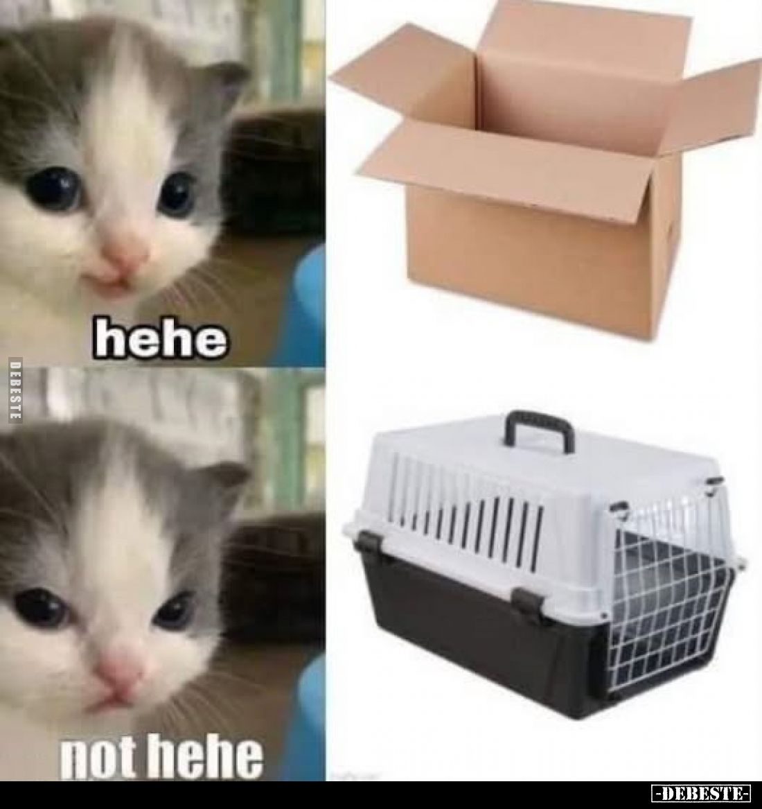 hehe
not hehe