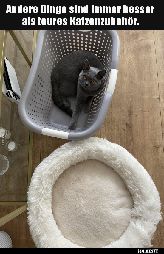 Andere Dinge sind immer besser als teures..