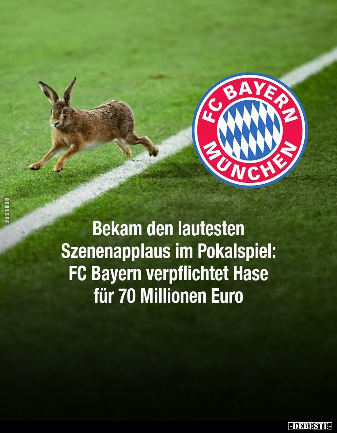 Bekam den lautesten Szenenapplaus im Pokalspiel: FC Bayern verpflichtet Hase für 70 Millionen Euro