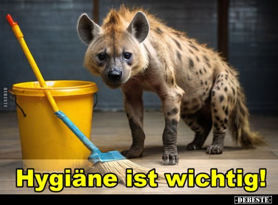 Hygiäne ist wichtig!