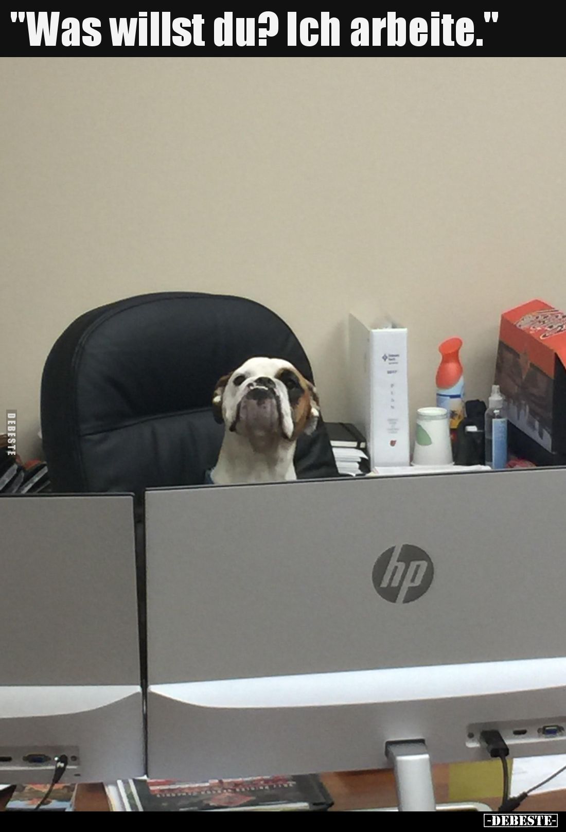 Was willst du? Ich arbeite.