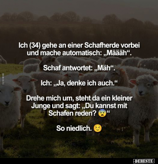Ich (34) gehe an einer Schafherde vorbei und mache.. - Lustige Bilder | DEBESTE.de
