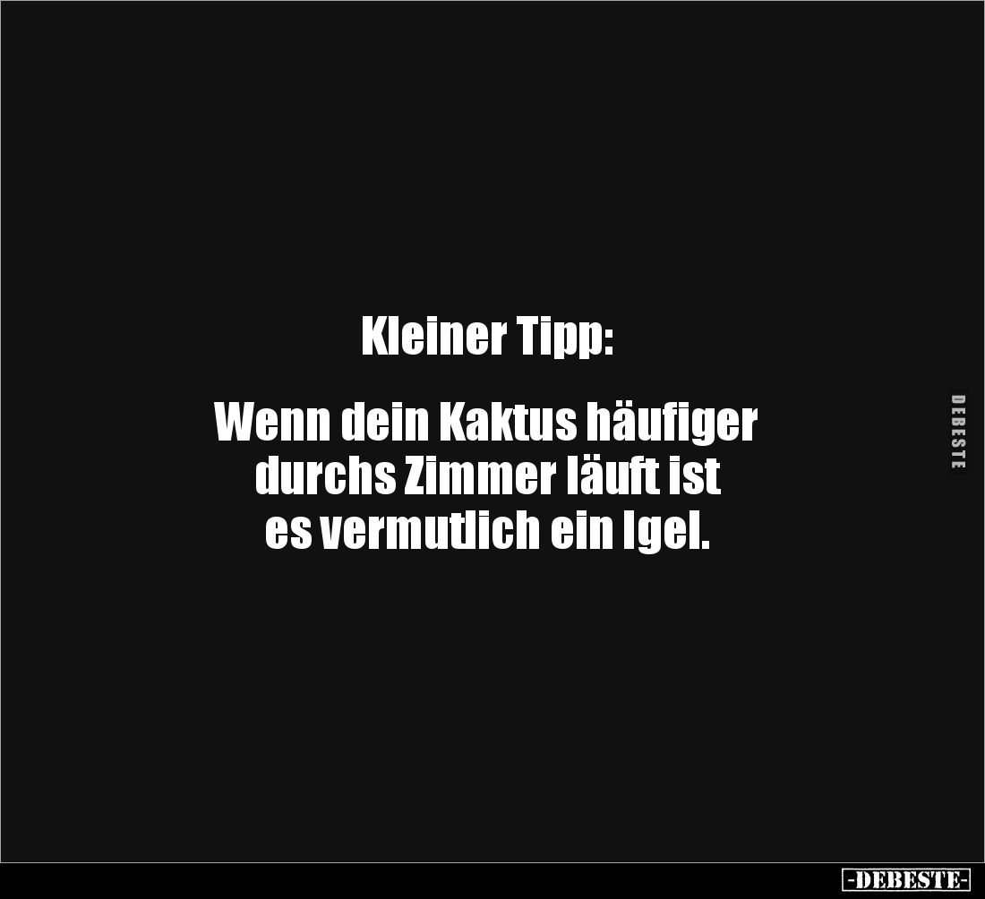 Kleiner Tipp:


Wenn dein Kaktus häufiger 
durchs Zimmer läuft ist 
es vermutlich ein Igel.