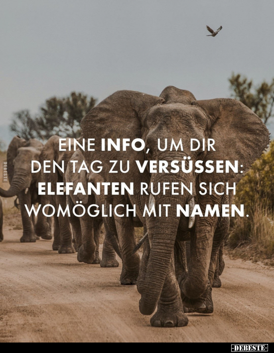 Eine Info, um dir den Tag zu versüßen.. - Lustige Bilder | DEBESTE.de