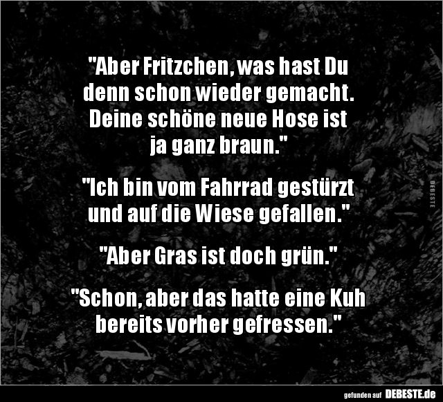 "Aber Fritzchen, was hast Du denn schon wieder.." - Lustige Bilder | DEBESTE.de