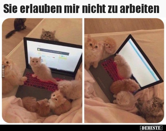 Sie erlauben mir nicht zu arbeiten