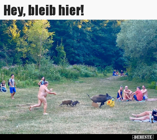 Hey, bleib hier!..