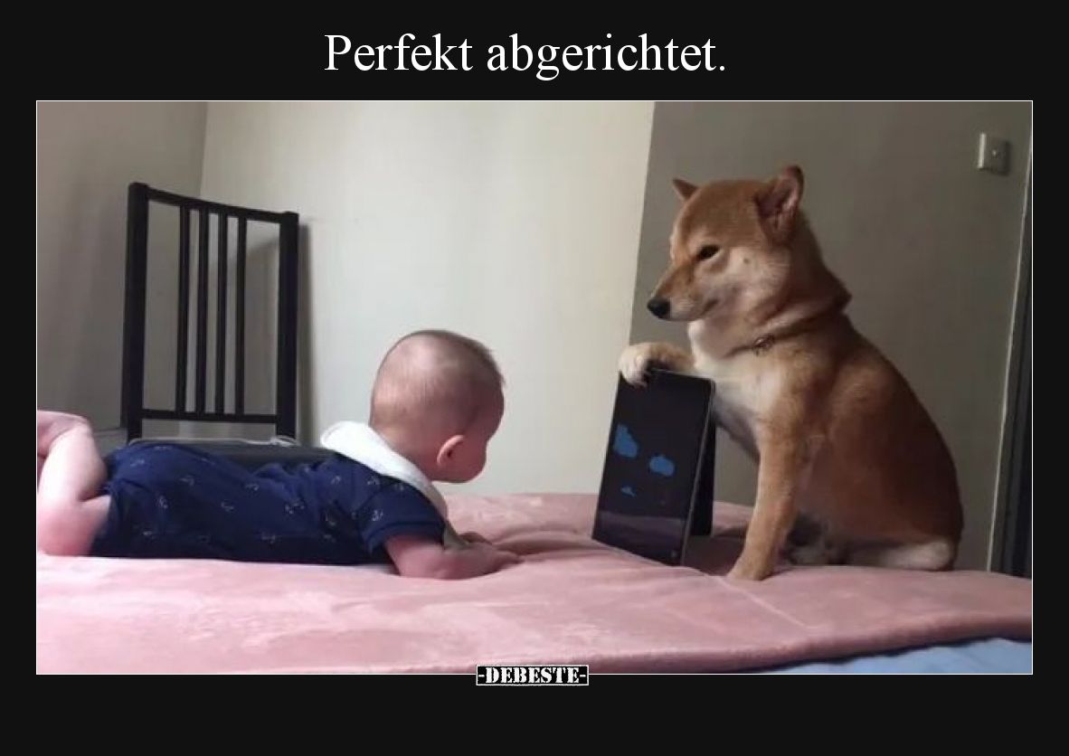 Perfekt abgerichtet