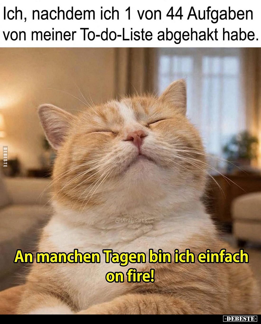 Ich, nachdem ich 1 von 44 Aufgaben von meiner To-do-Liste abgehakt habe.

An manchen Tagen bin ich einfach on fire!
