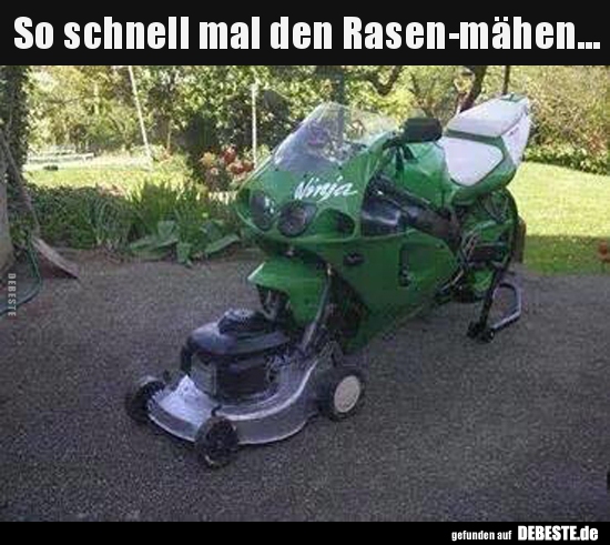 So schnell mal den Rasen-mähen... - Lustige Bilder | DEBESTE.de