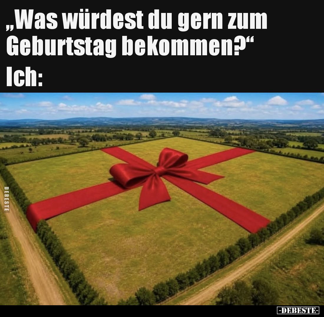 „Was würdest du gern zum Geburtstag bekommen?“
Ich: