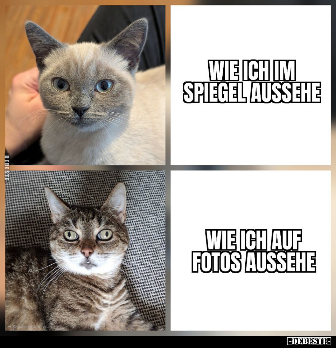  - Lustige Bilder | DEBESTE.de