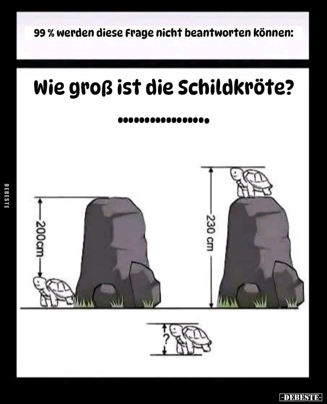 99% werden diese Frage nicht beantworten können:
Wie groß ist die Schildkröte?