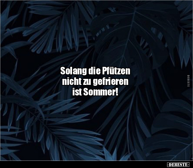 Solang die Pfützen nicht zu gefrieren ist Sommer!.. - Lustige Bilder | DEBESTE.de