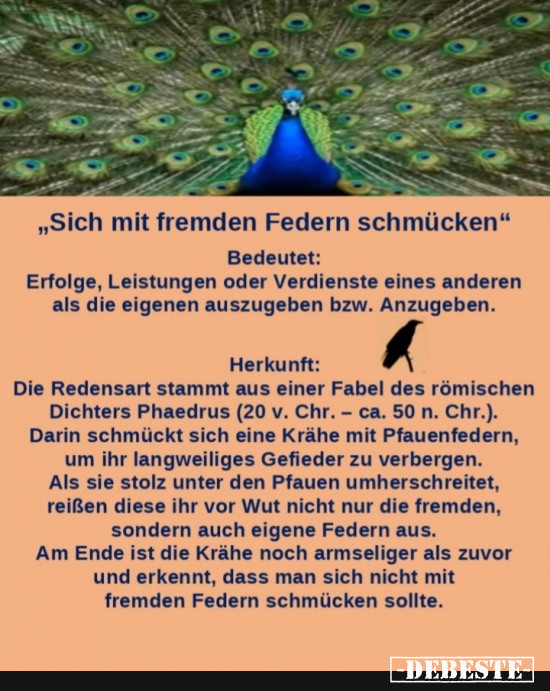 Sich mit fremden Federn schmücken - Lustige Bilder | DEBESTE.de
