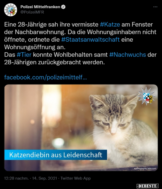 Eine 28-Jährige sah ihre vermisste Katze am Fenster der.. - Lustige Bilder | DEBESTE.de