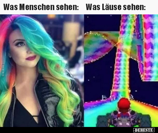 Was Menschen sehen / Was Läuse sehen.. - Lustige Bilder | DEBESTE.de