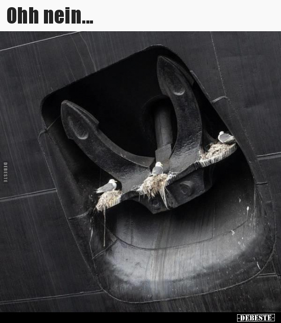 Ohh nein...