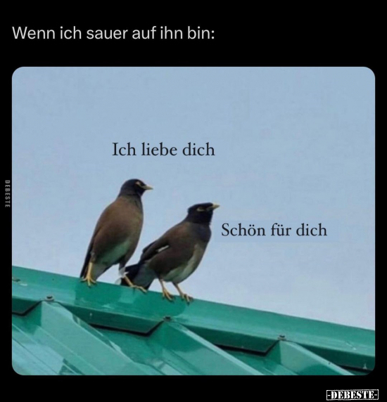 Wenn ich sauer auf ihn bin.. - Lustige Bilder | DEBESTE.de