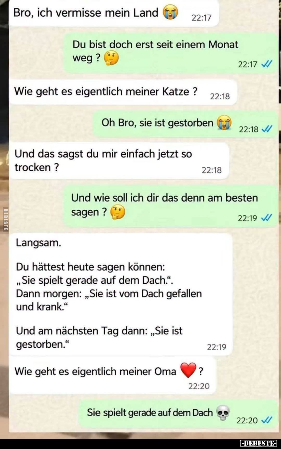 Bro, ich vermisse mein Land. -
Du bist doch erst seit einem Monat weg? -
Wie geht es eigentlich meiner Katze? -
Oh Bro, si...