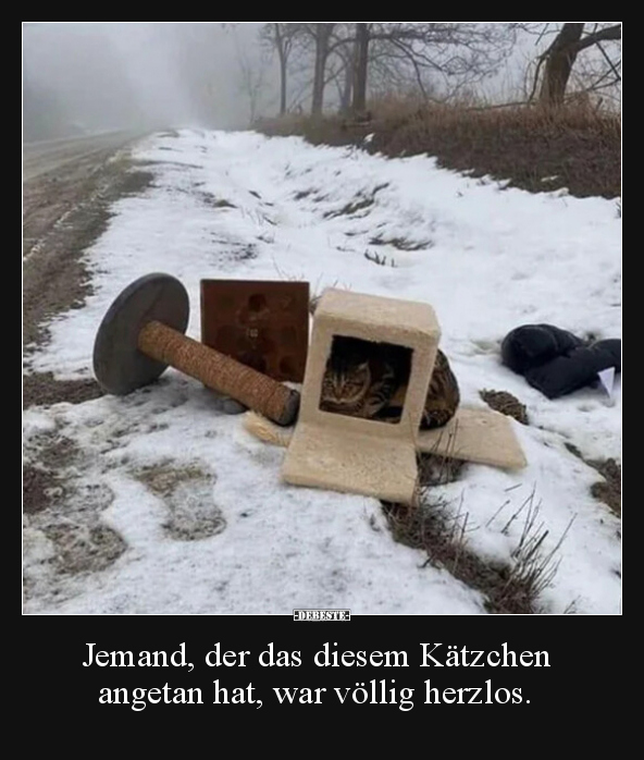 Jemand, der das diesem Kätzchen angetan hat, war völlig herzlos.