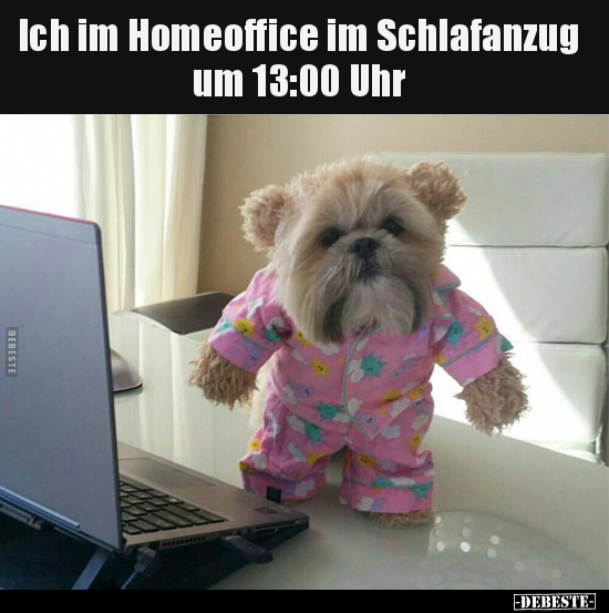 Ich im Homeoffice im Schlafanzug um 13:00 Uhr.. - Lustige Bilder | DEBESTE.de