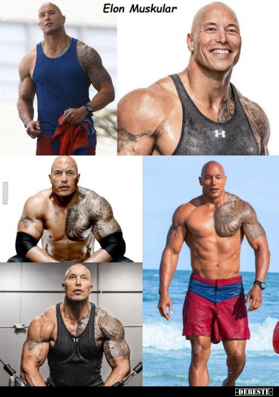 Elon Muskular.