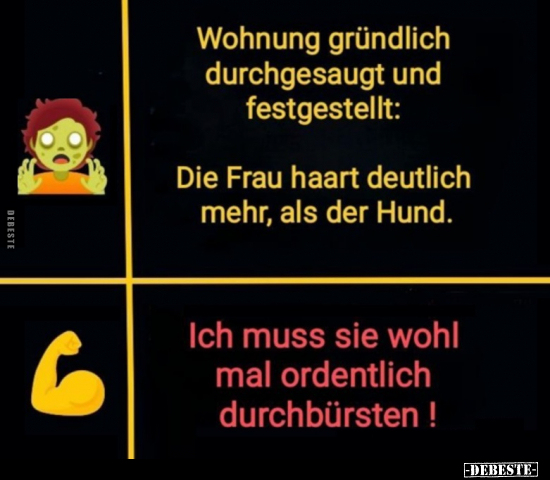 Wohnung gründlich durchgesaugt und festgestellt.. - Lustige Bilder | DEBESTE.de