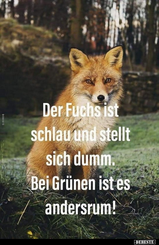 Der Fuchs ist schlau und stellt sich dumm.. - Lustige Bilder | DEBESTE.de