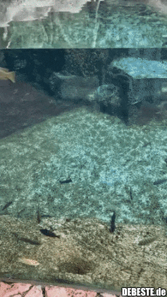 Was soll ich machen, ich bin eben beliebt..