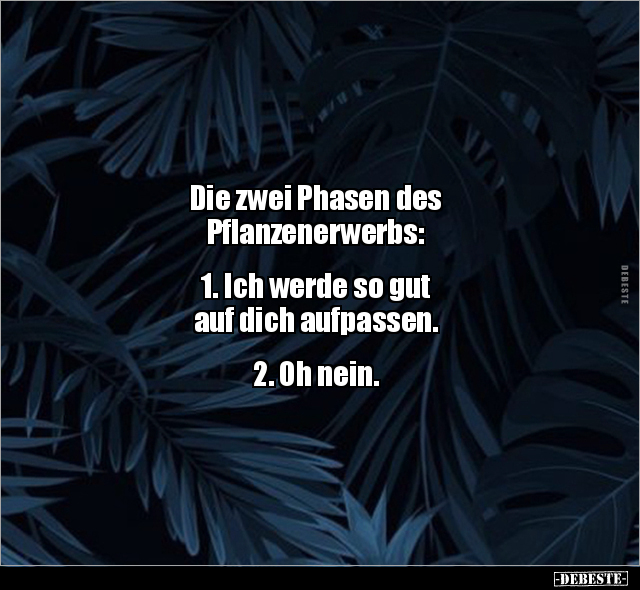Die zwei Phasen des Pflanzenerwerbs.. - Lustige Bilder | DEBESTE.de