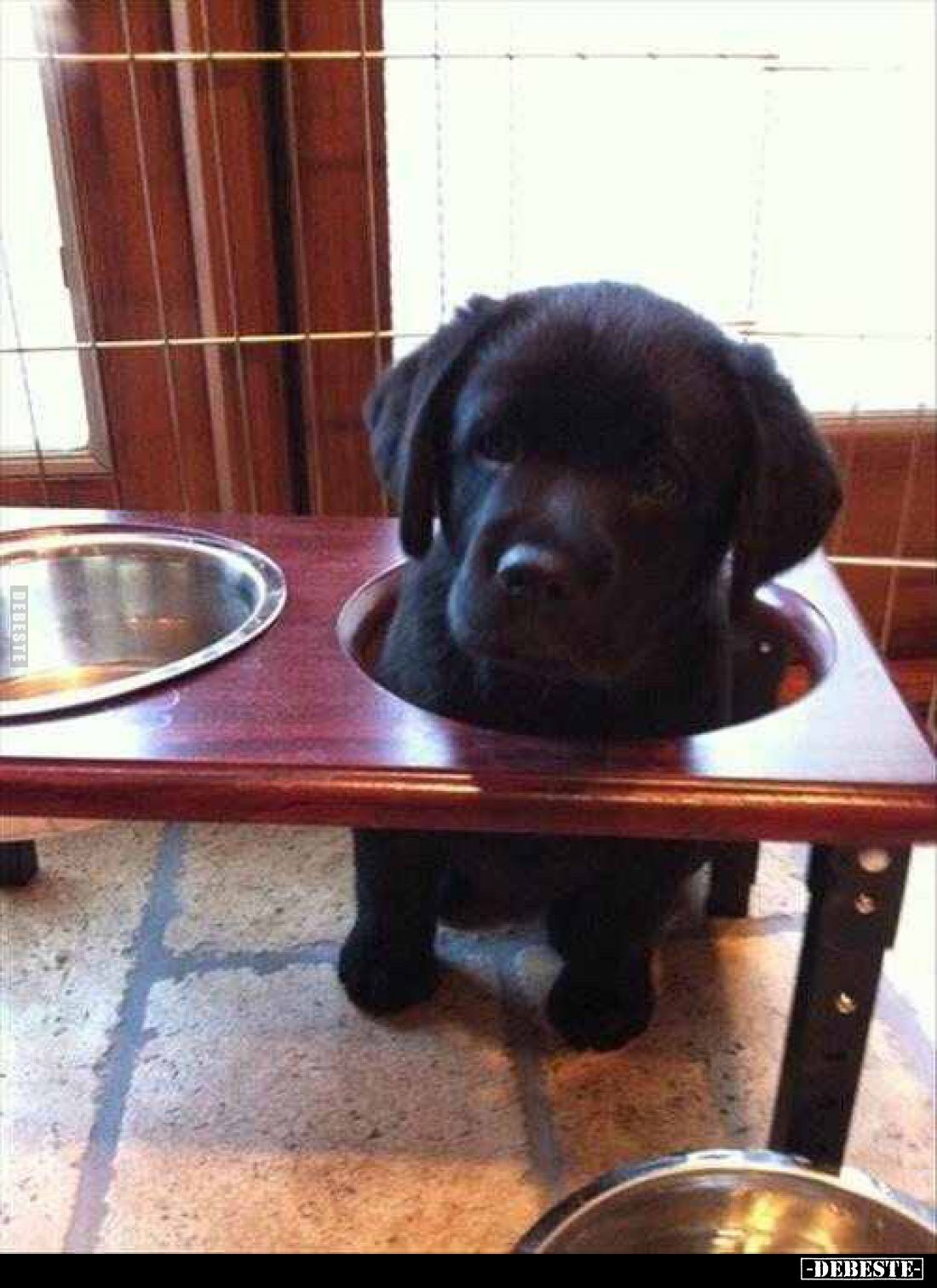  - Lustige Bilder | DEBESTE.de