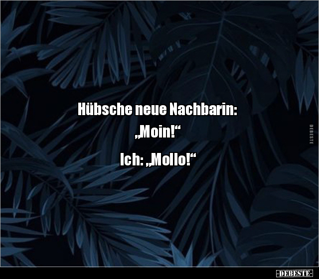 Hübsche neue Nachbarin: "Moin!" Ich: "Mollo!".. - Lustige Bilder | DEBESTE.de