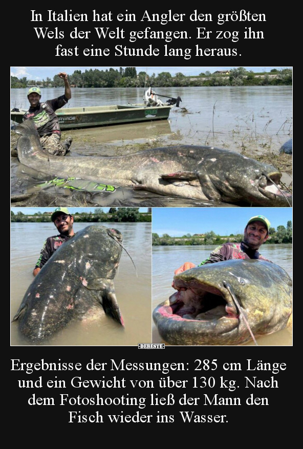 In Italien hat ein Angler den größten Wels der Welt.. - Lustige Bilder | DEBESTE.de