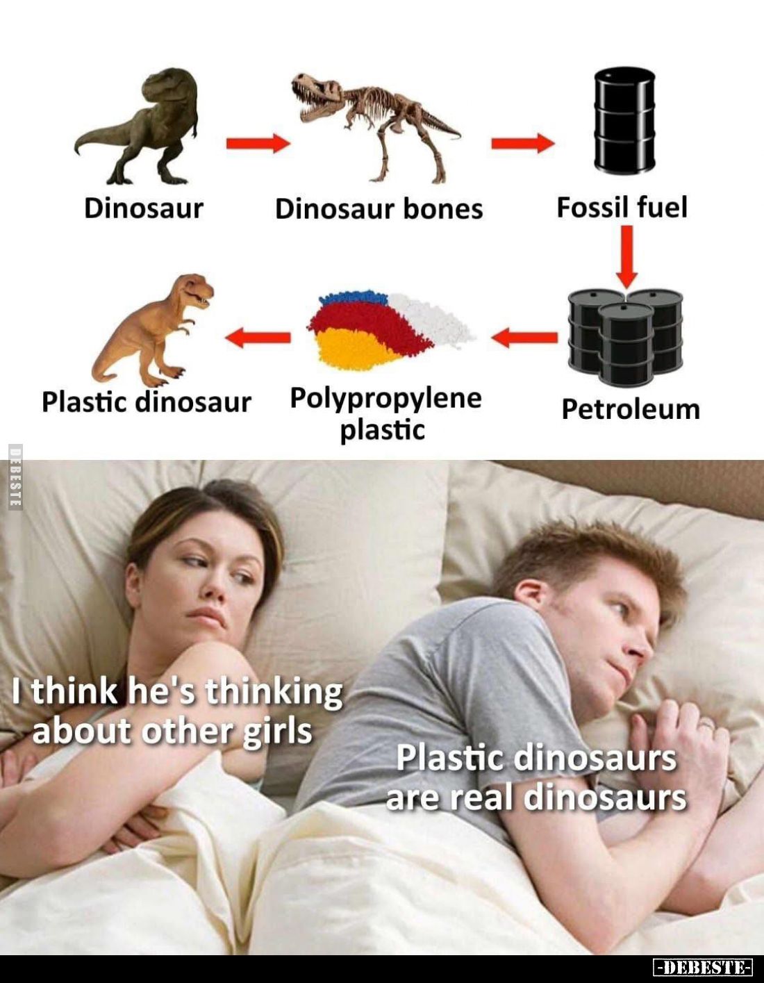 think he's thinking about other girls. -
Plastic dinosaurs are real dinosaurs.