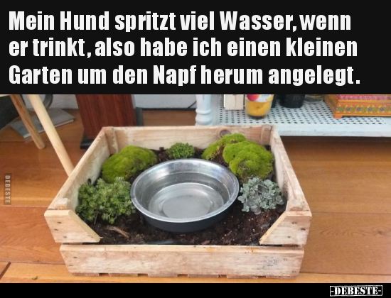 Mein Hund spritzt viel Wasser, wenn er trinkt, also habe..