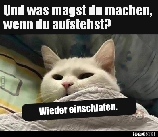 Und was magst du machen, wenn du aufstehst?..