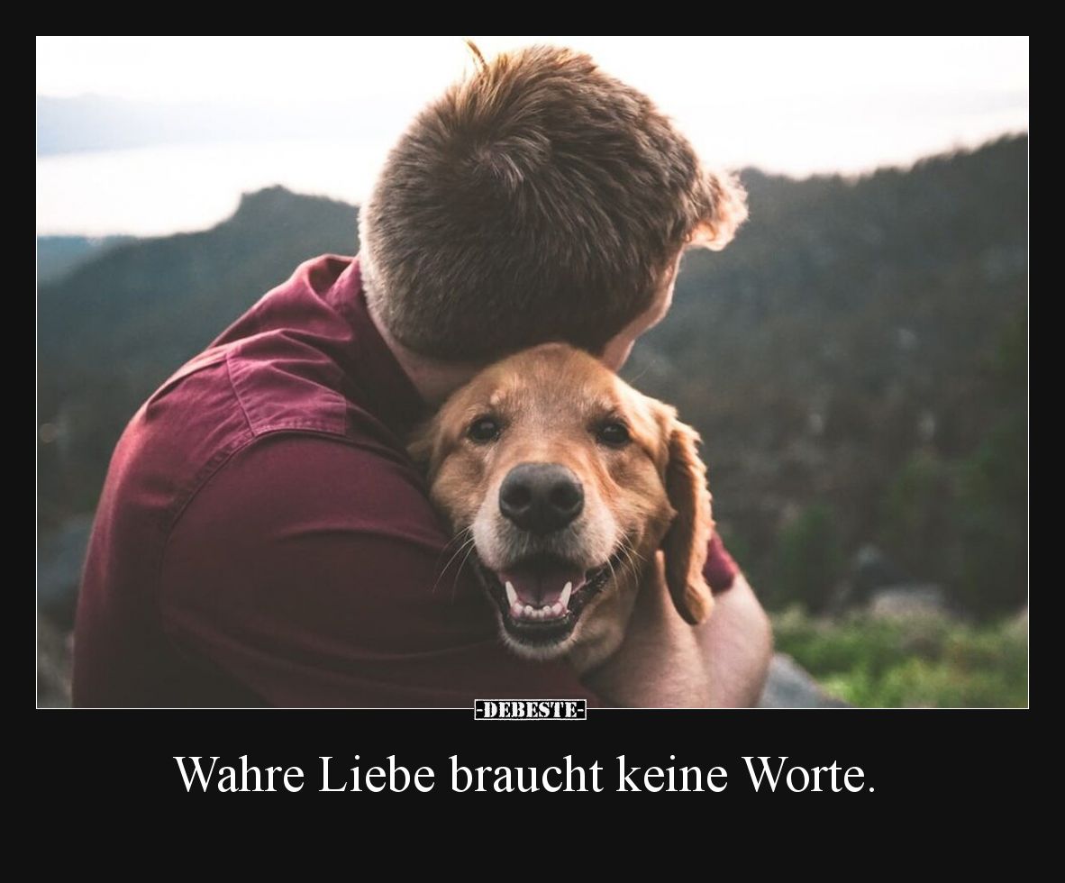 Wahre Liebe braucht keine Worte... - Lustige Bilder | DEBESTE.de