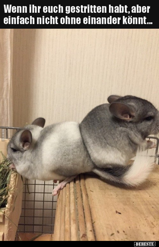 Wenn ihr euch gestritten habt, aber einfach nicht ohne einander könnt...