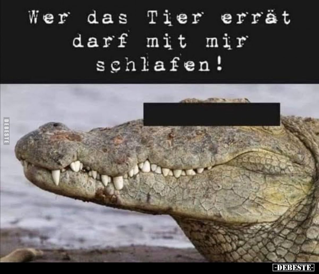 Wer das Tier errät darf mit mir schlafen!