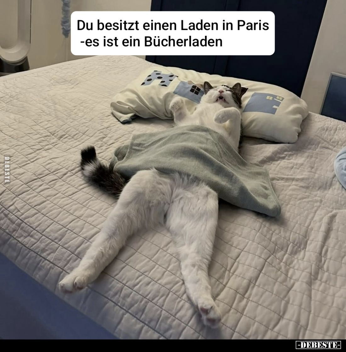 Du besitzt einen Laden in Paris.
Es ist ein Bücherladen.