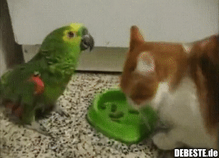 Hey, werd nicht frech..