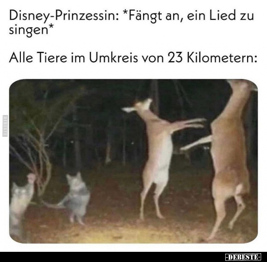 Disney-Prinzessin: *Fängt an, ein Lied zu singen*.. - Lustige Bilder | DEBESTE.de