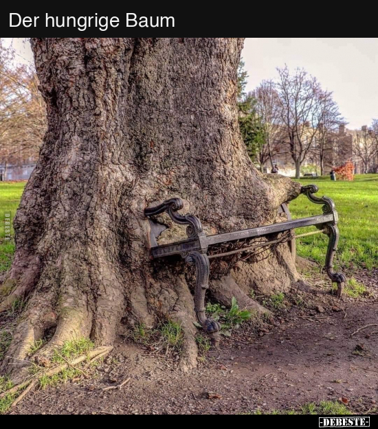 Der hungrige Baum.. - Lustige Bilder | DEBESTE.de