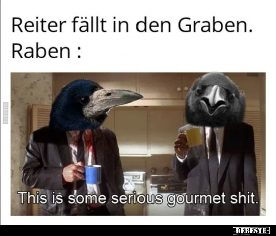 Reiter fällt in den Graben.. - Lustige Bilder | DEBESTE.de