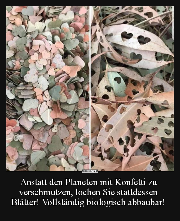 Anstatt den Planeten mit Konfetti zu verschmutzen.. - Lustige Bilder | DEBESTE.de