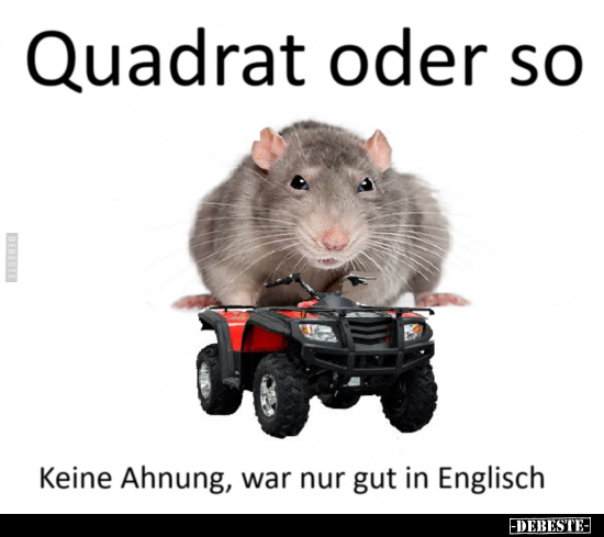 Keine Ahnung, Englisch