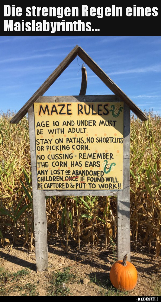 Die strengen Regeln eines Maislabyrinths...